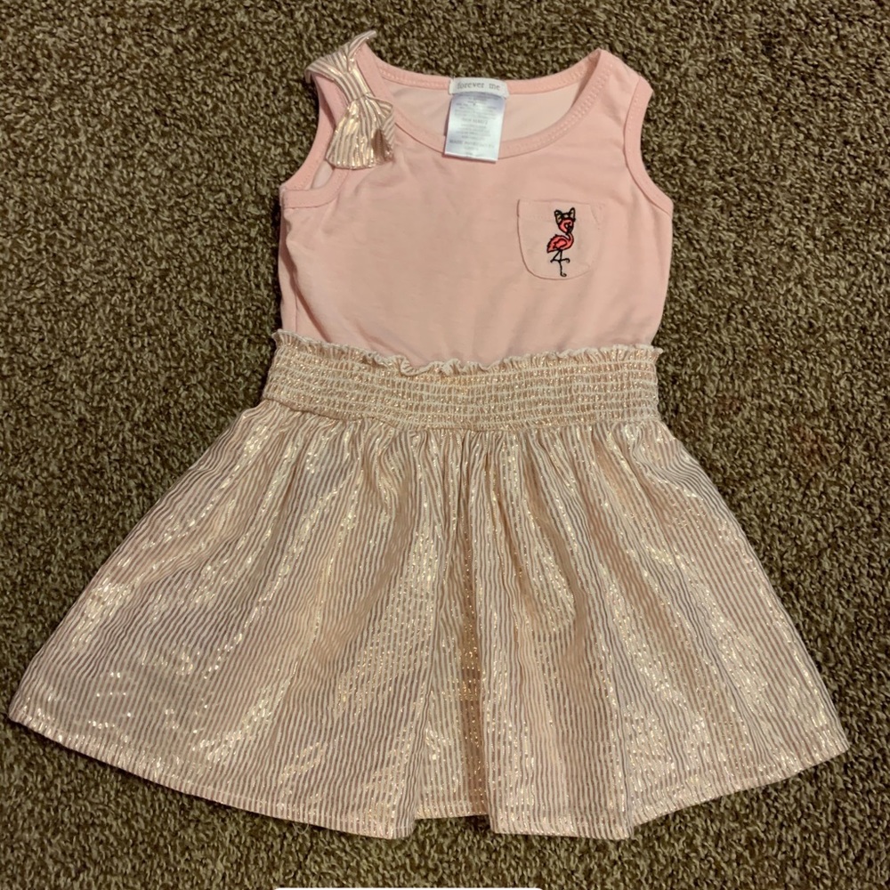 Toddler girl Dress size 2T